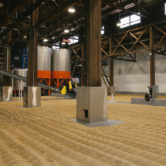 Admiral Maltings - SFDW Journal