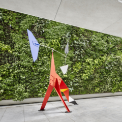 Habitat_Horticulture-SFDW-journal