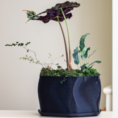 Model-No-Furniture-SFDW Journal