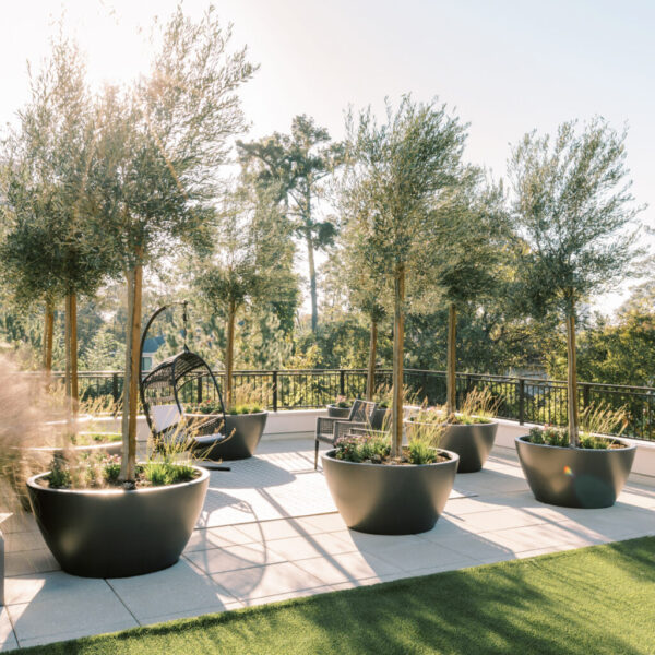 Tournesol Siteworks